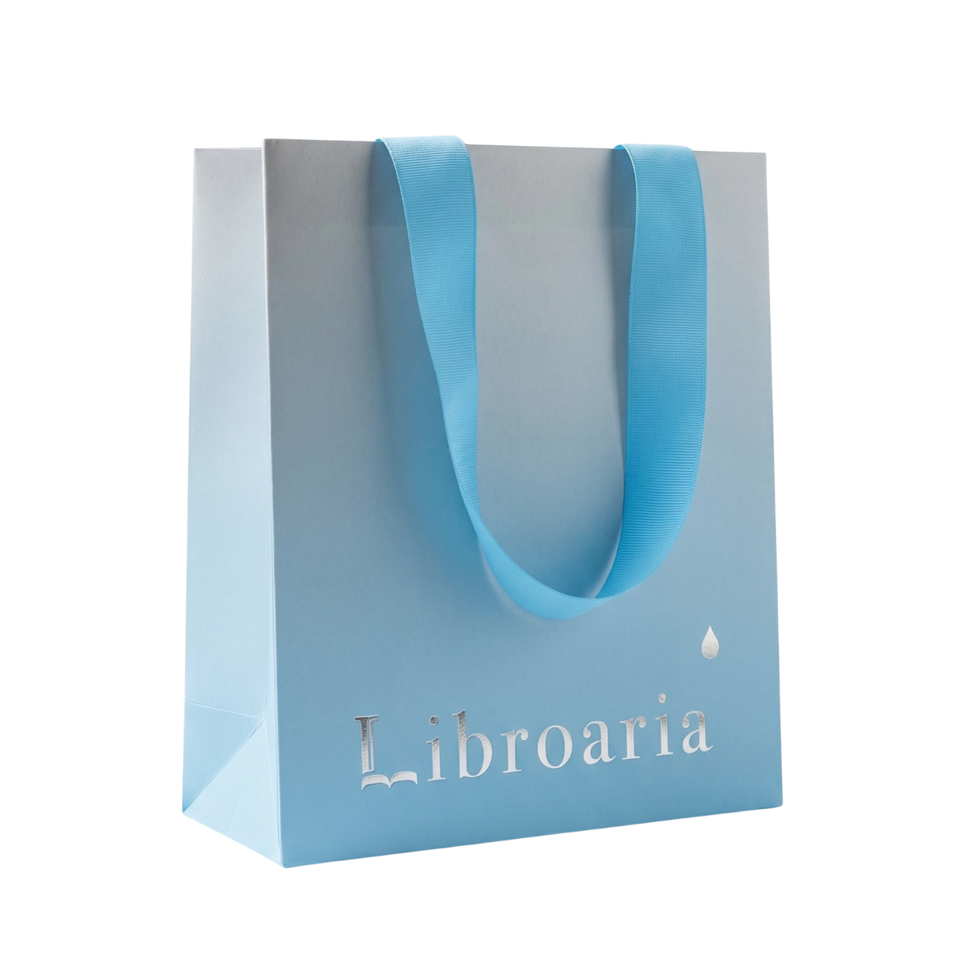 Shopping Bag2