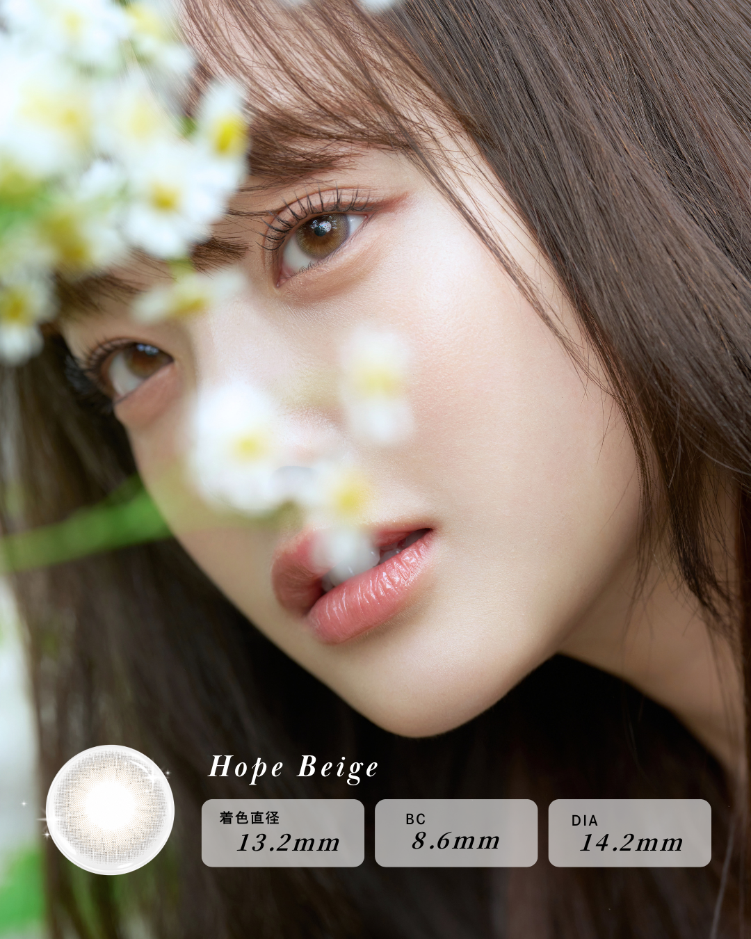 おだやかな希望 -Hope Beige-