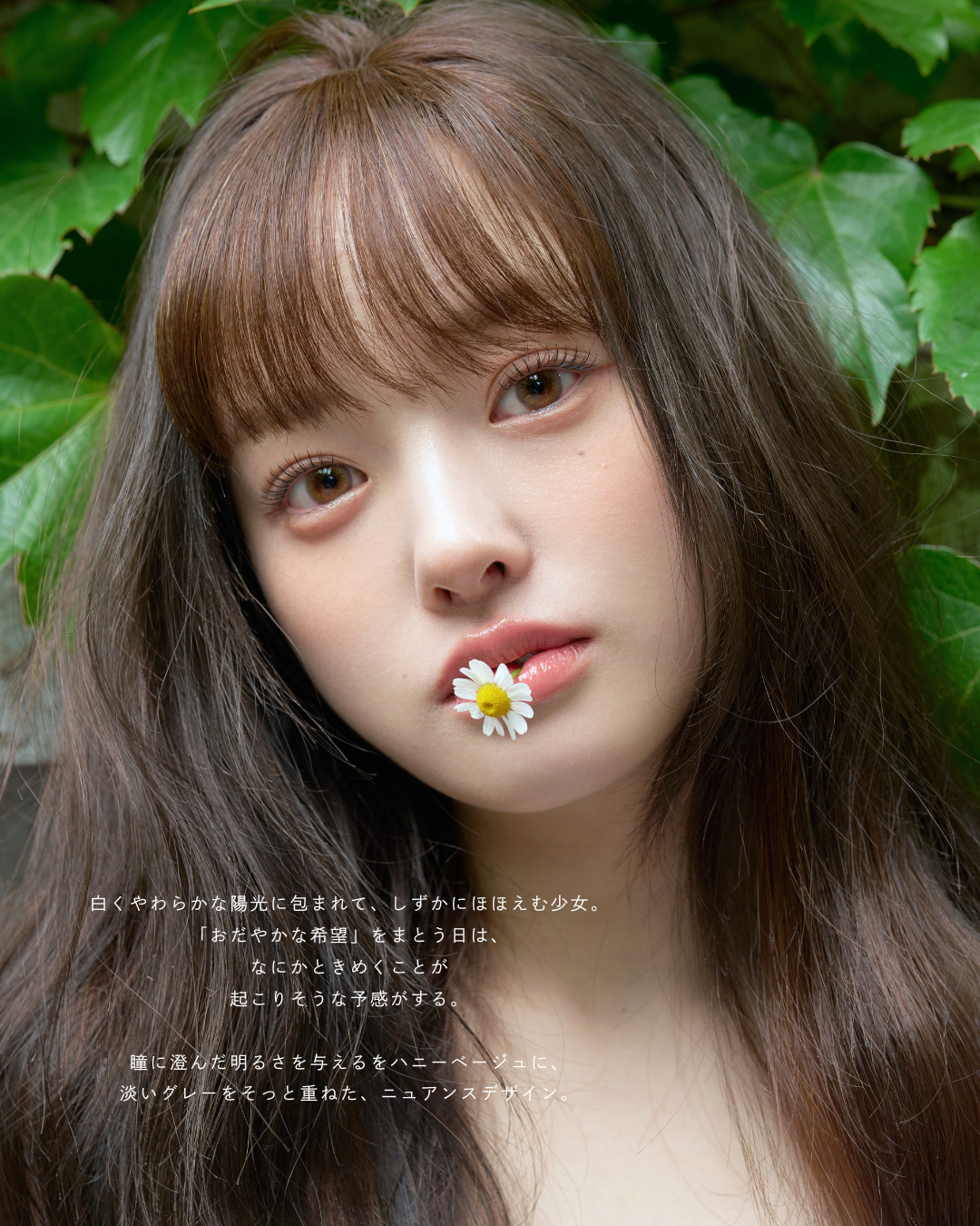 おだやかな希望 -Hope Beige-